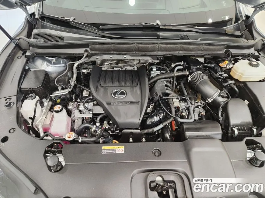 Lexus RX 2024 из KR, фото 7
