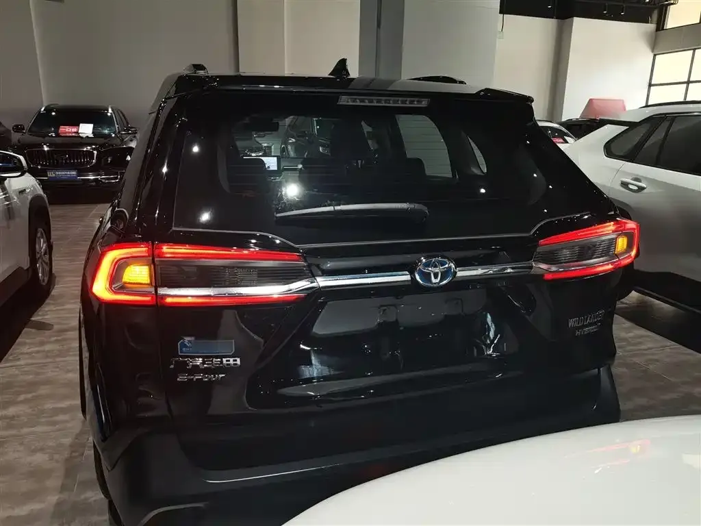 Toyota Wildlander 2023 из CN, фото 6