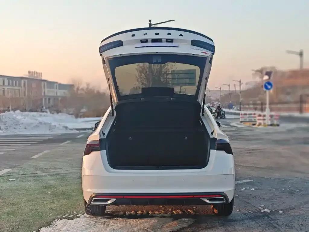 Skoda Octavia 2023 из CN, фото 9
