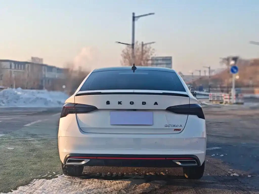Skoda Octavia 2023 из CN, фото 6