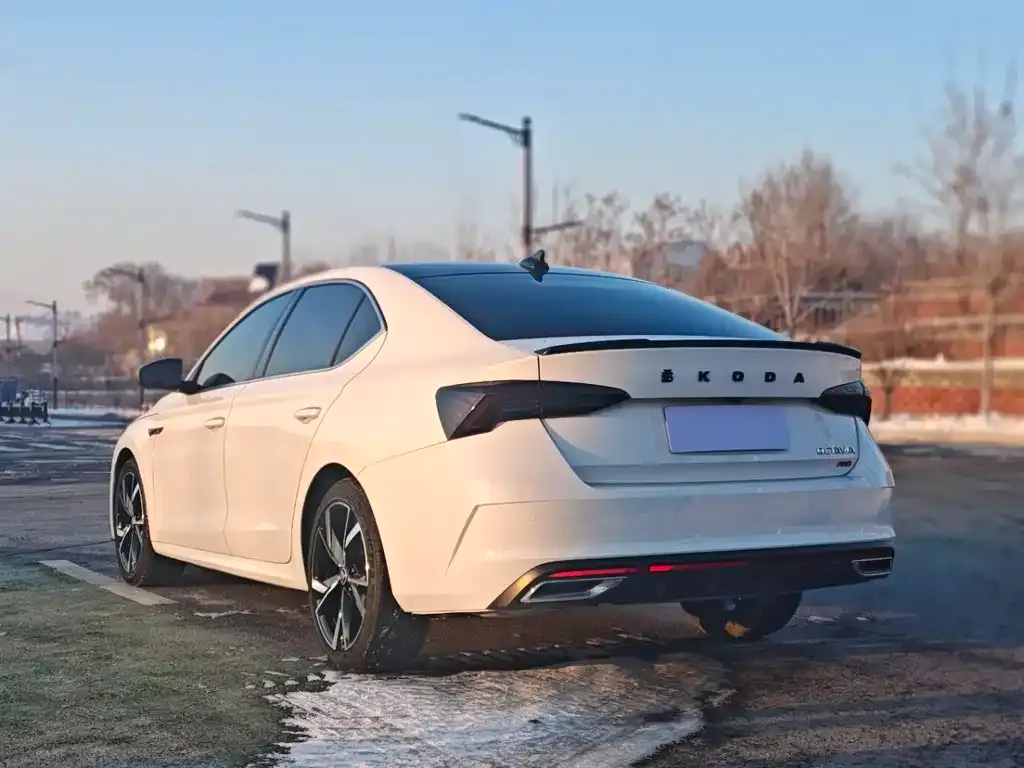 Skoda Octavia 2023 из CN, фото 5