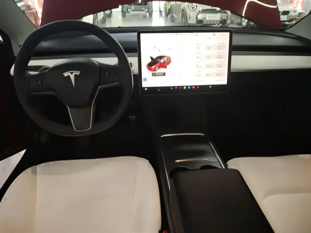 Tesla Model 3 2023 из CN, фото 10