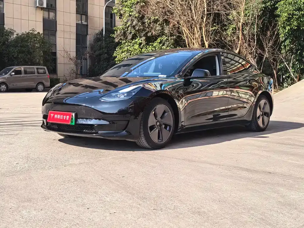 Tesla Model 3 2022 из CN, фото 1