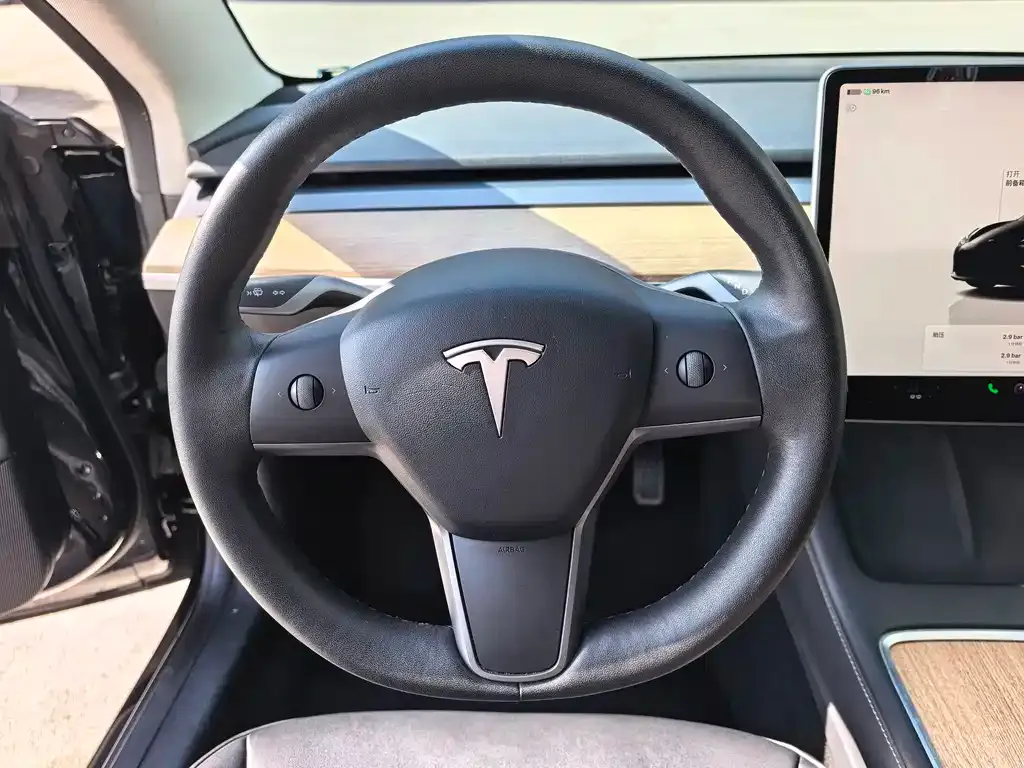 Tesla Model 3 2022 из CN, фото 6