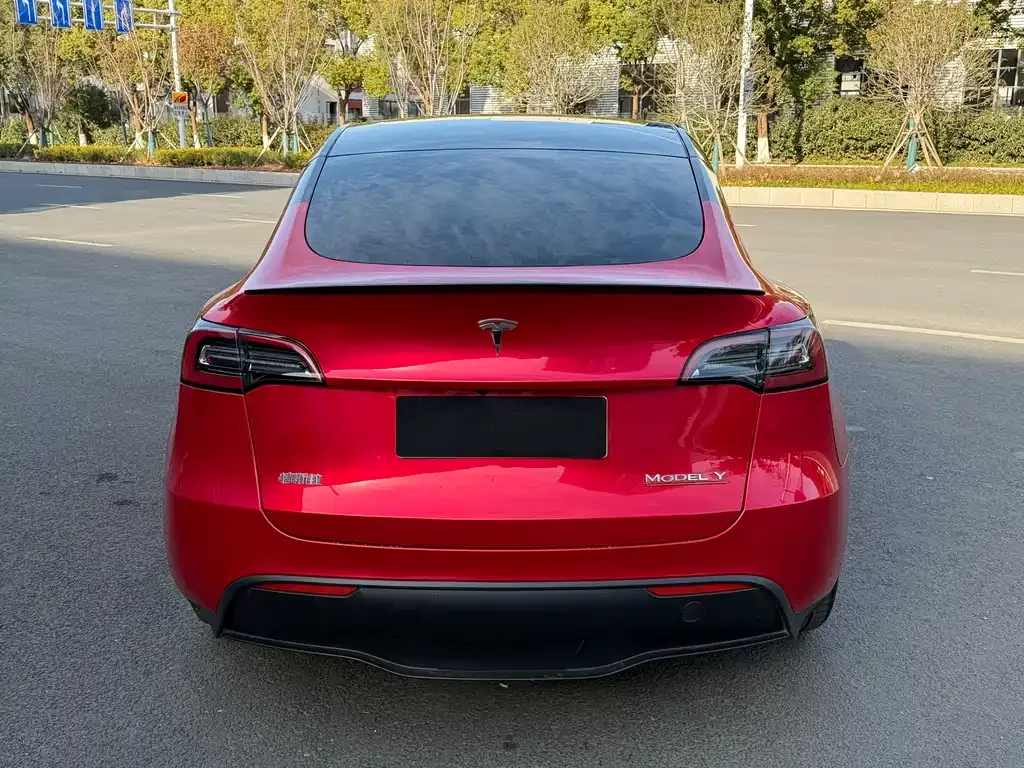Tesla Model Y 2022 из CN, фото 6