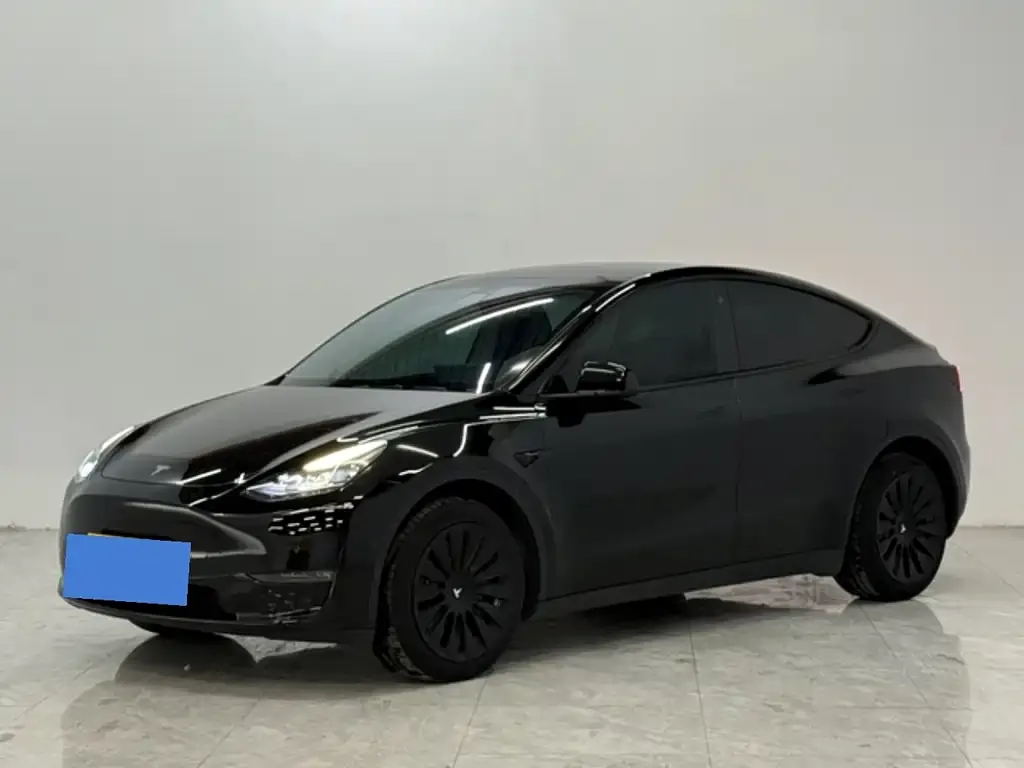Tesla Model Y 2023 из CN, фото 1