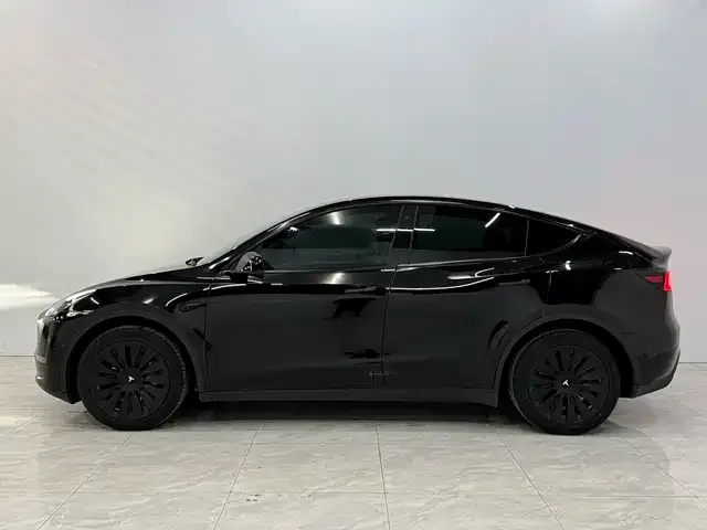 Tesla Model Y 2023 из CN, фото 2