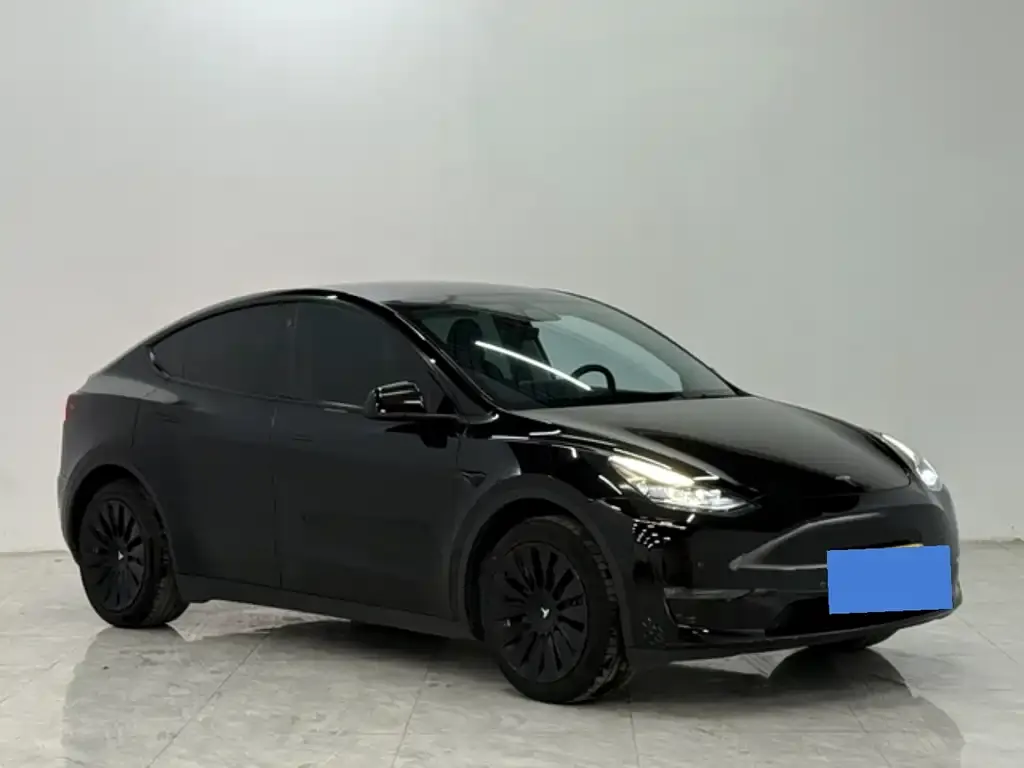 Tesla Model Y 2023 из CN, фото 4