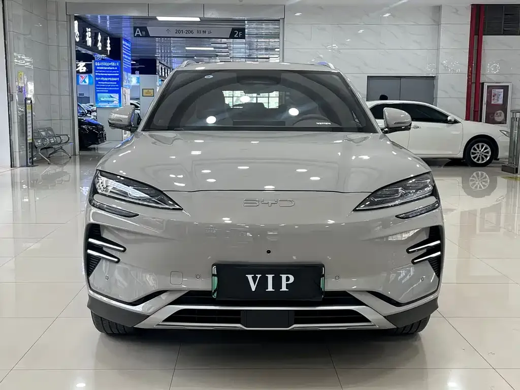BYD PLUS New Energy 2025 из CN, фото 1
