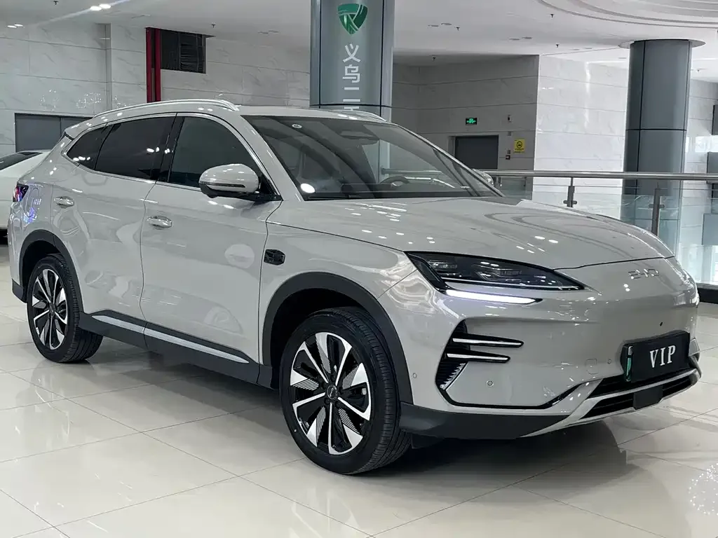 BYD PLUS New Energy 2025 из CN, фото 2