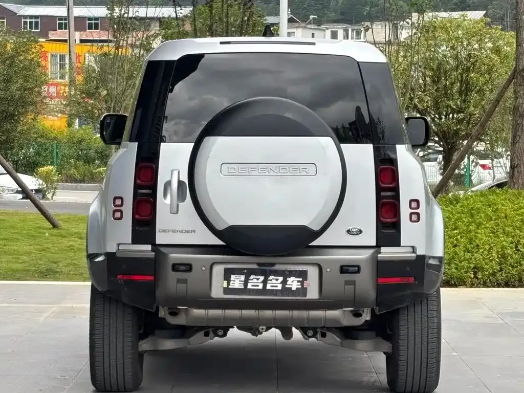 Land Rover Defender 2022 из CN, фото 4