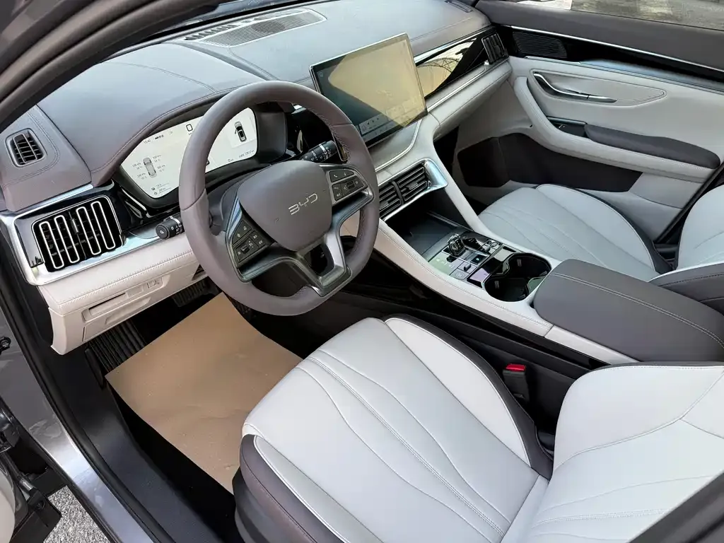 BYD PLUS New Energy 2025 из CN, фото 2