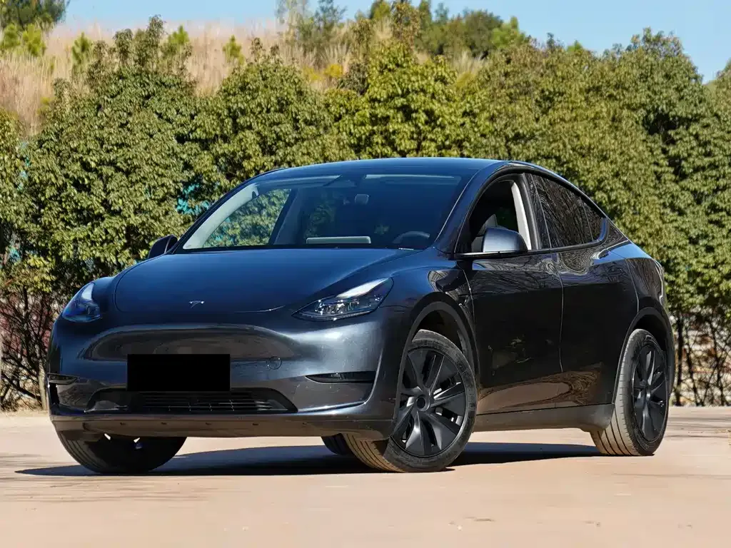 Tesla Model Y — фото 1