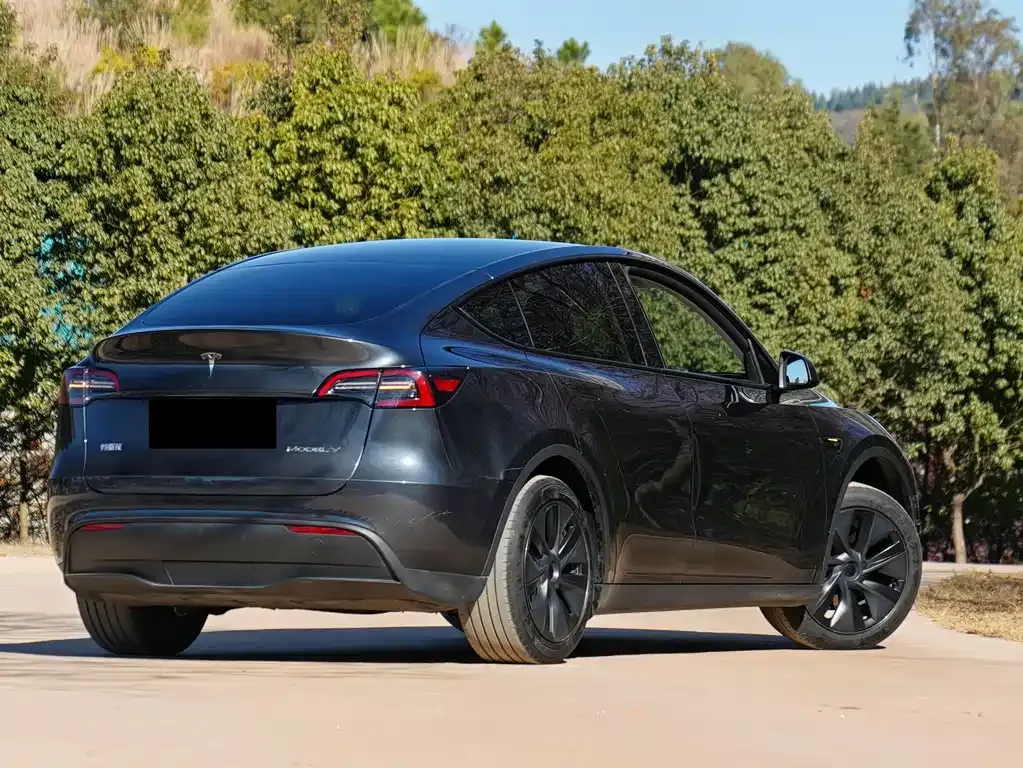 Tesla Model Y — фото 4
