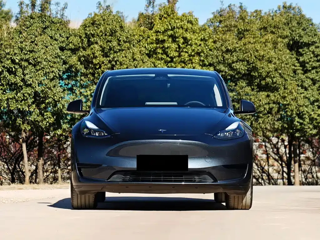 Tesla Model Y — фото 10