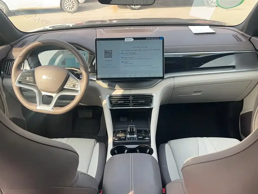 BYD PLUS New Energy 2024 из CN, фото 10