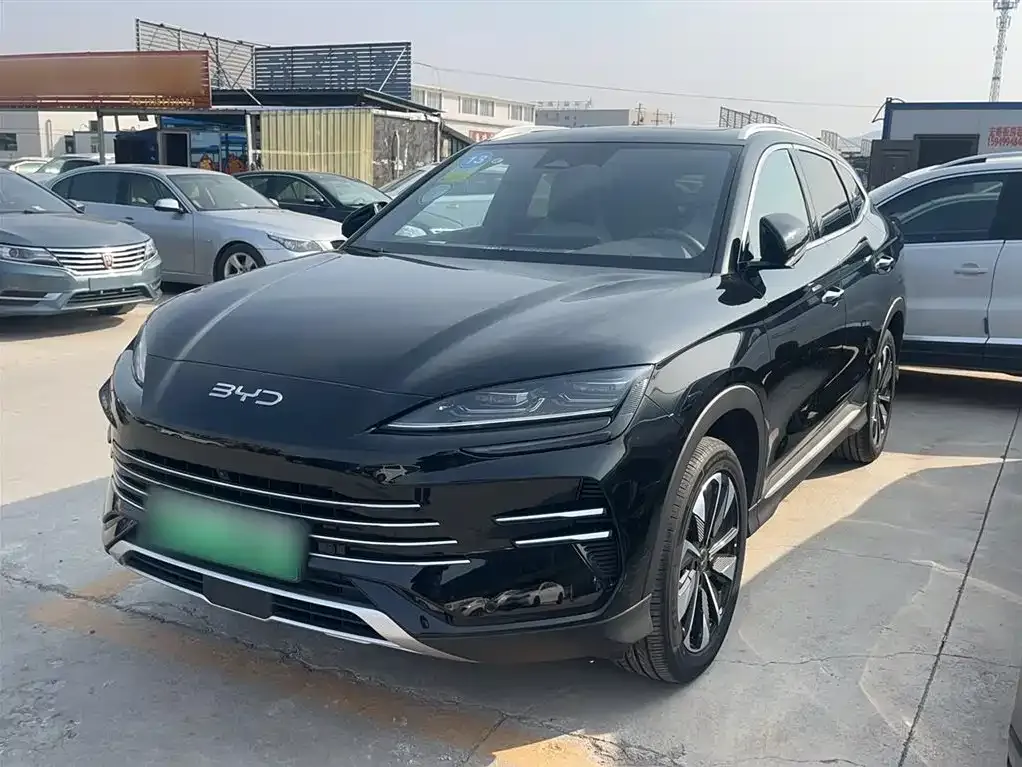 BYD PLUS New Energy 2024 из CN, фото 2