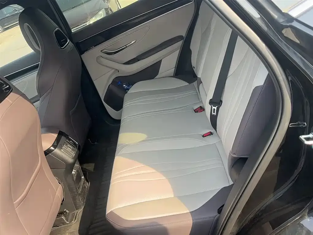 BYD PLUS New Energy 2024 из CN, фото 8