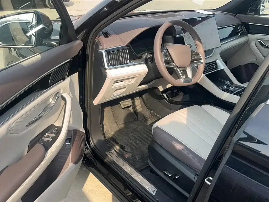 BYD PLUS New Energy 2024 из CN, фото 9