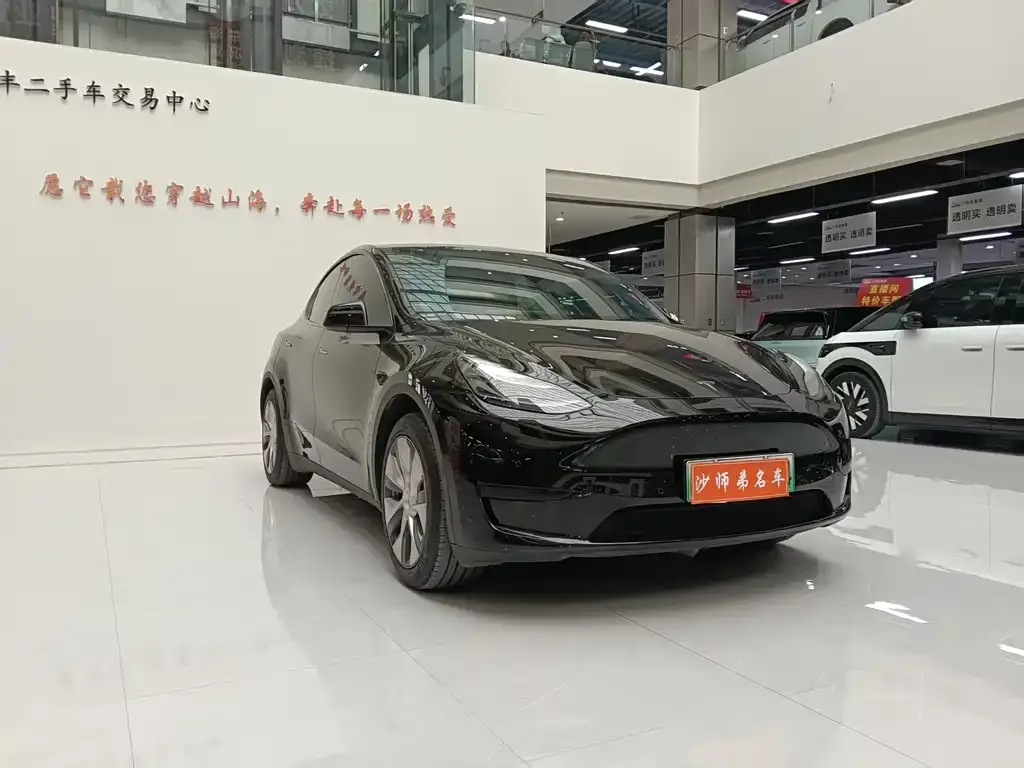 Tesla Model Y 2023 из CN, фото 5