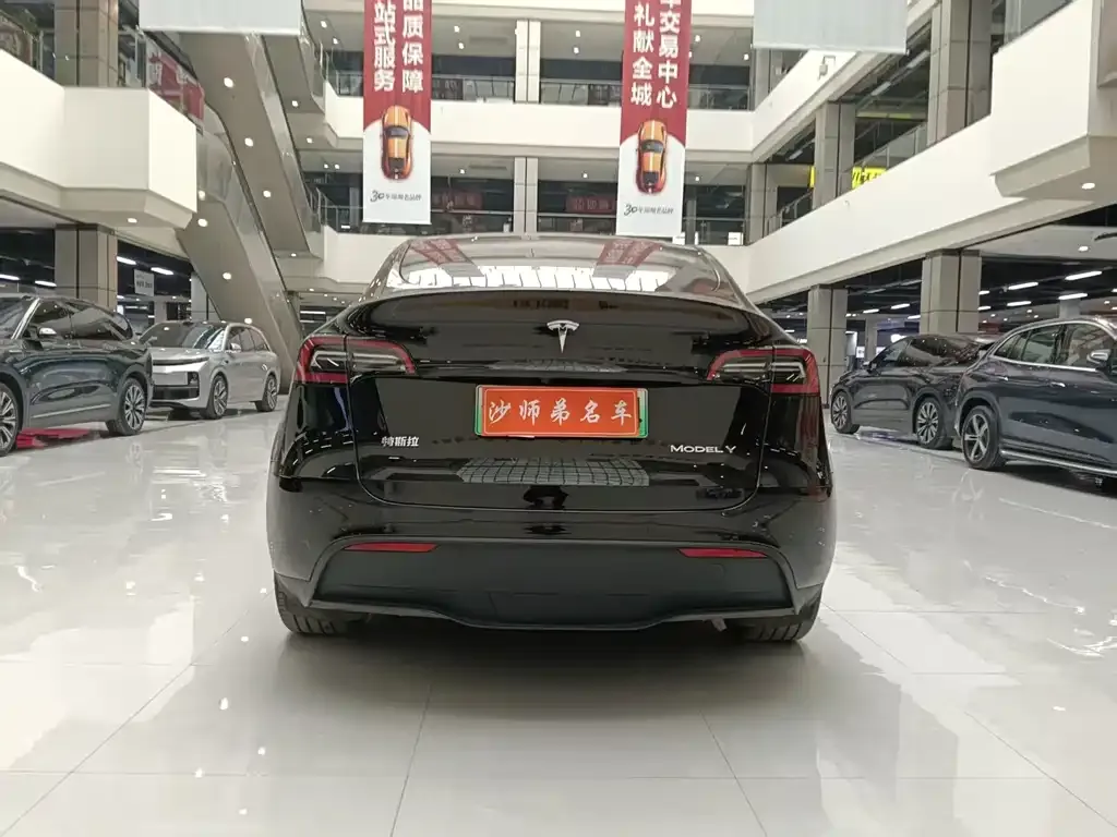 Tesla Model Y 2023 из CN, фото 6