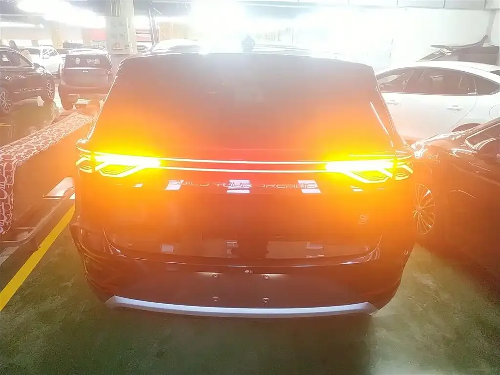 BYD Tang New Energy 2025 из CN, фото 2