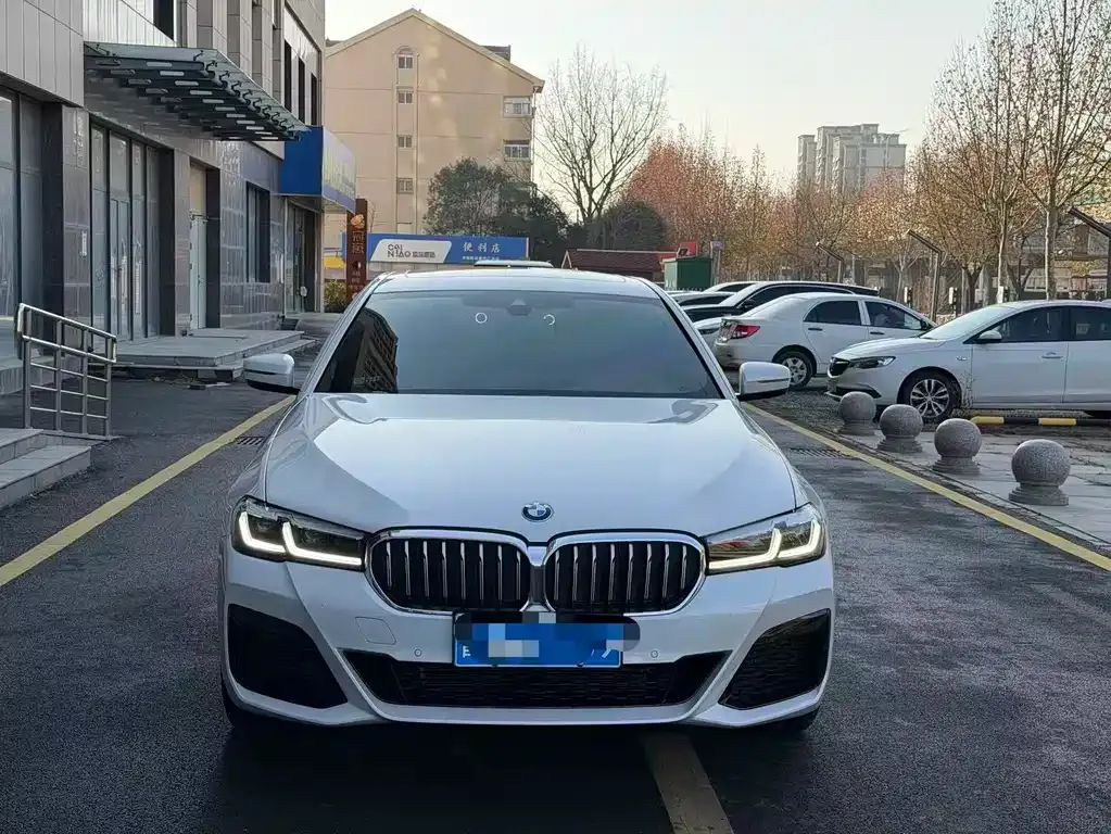 BMW 5 Series 2024 из CN, фото 9