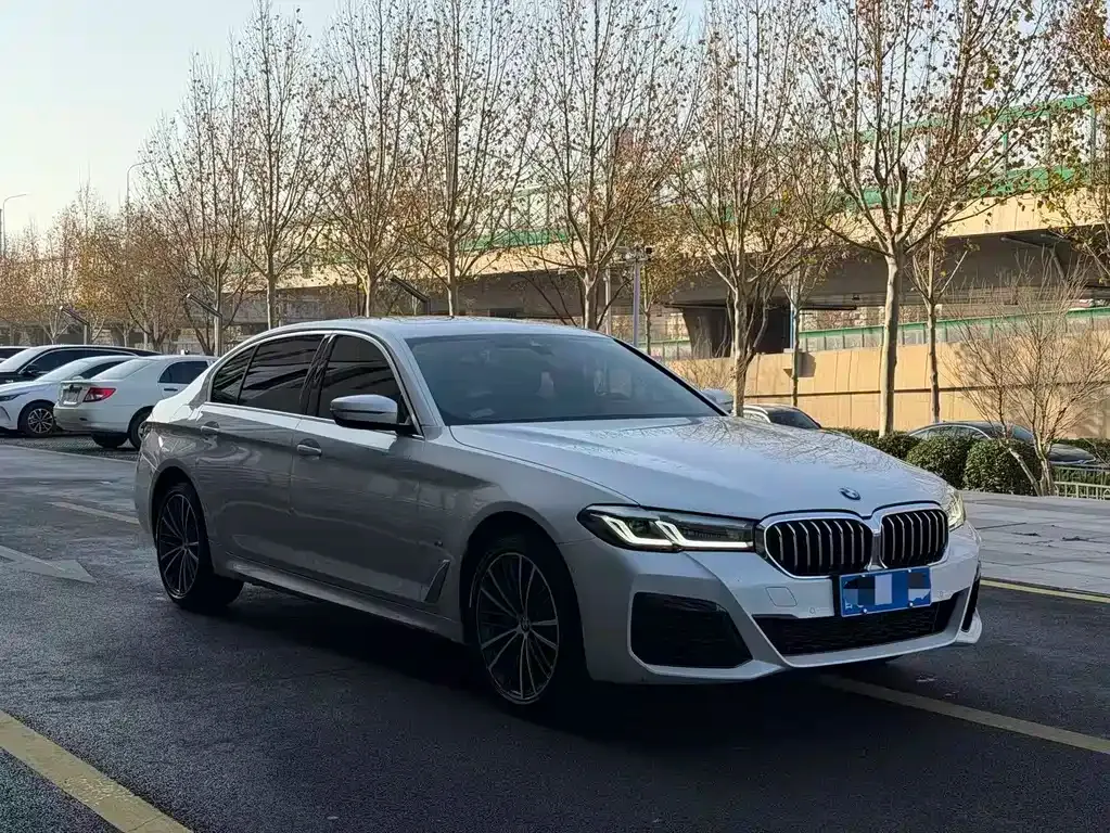 BMW 5 Series 2024 из CN, фото 5