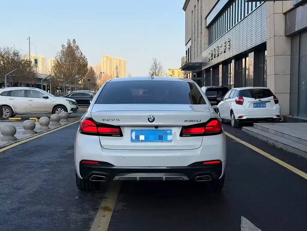 BMW 5 Series 2024 из CN, фото 4