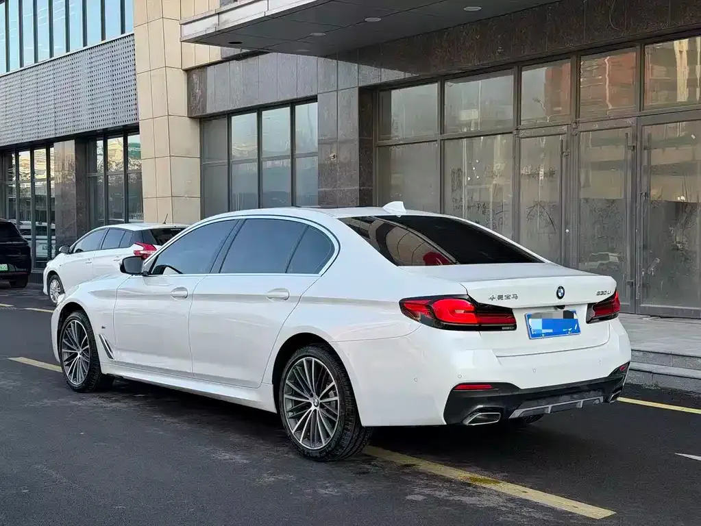 BMW 5 Series 2024 из CN, фото 7