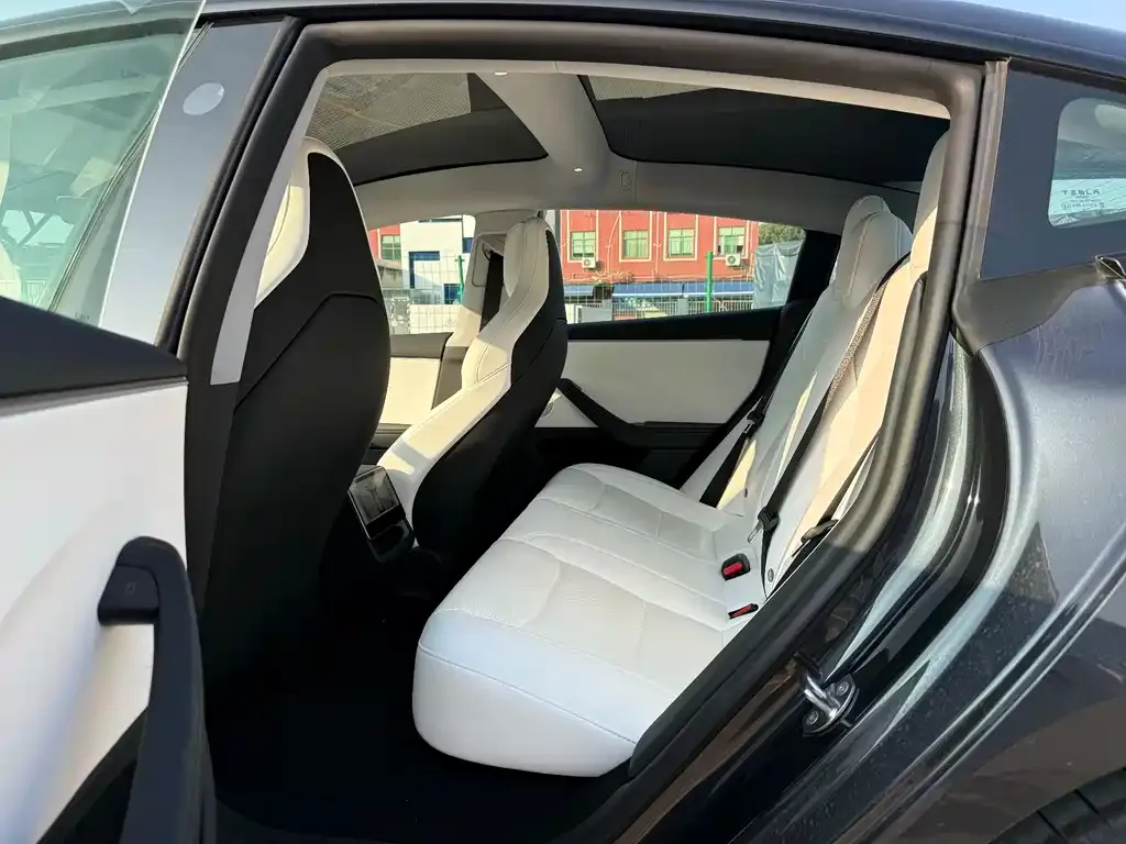 Tesla Model 3 2025 из CN, фото 6