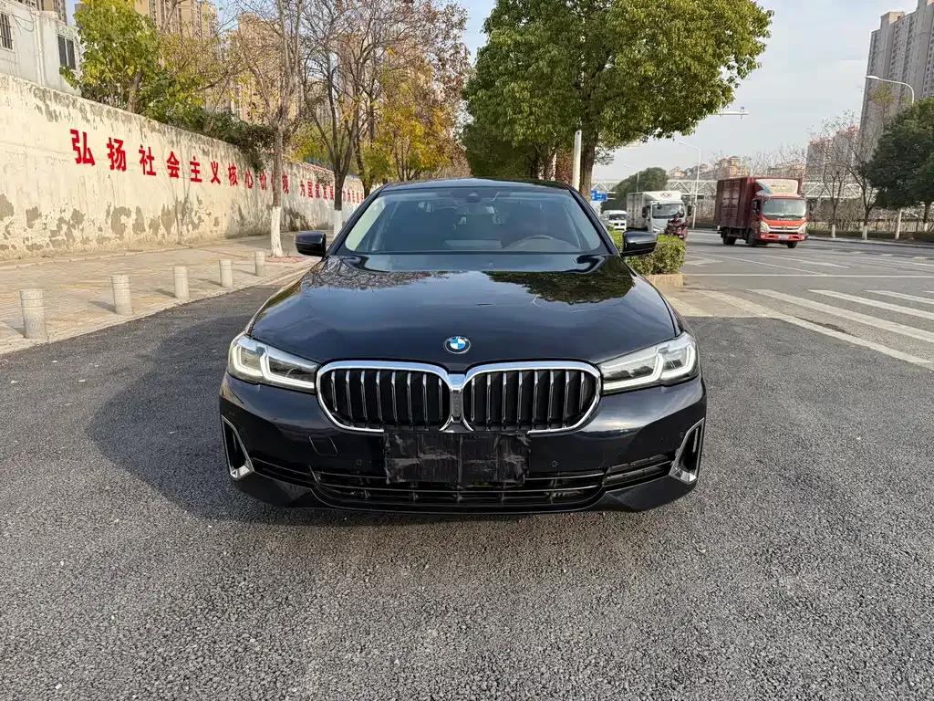 BMW 5 Series 2021 из CN, фото 10