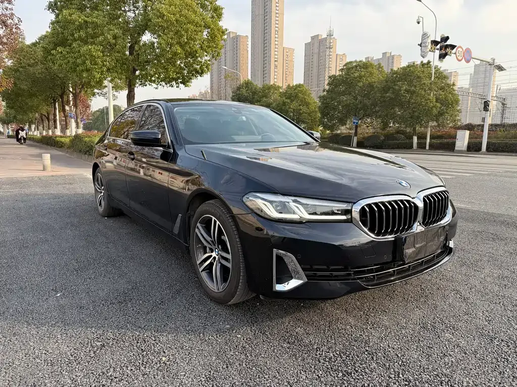 BMW 5 Series 2021 из CN, фото 5