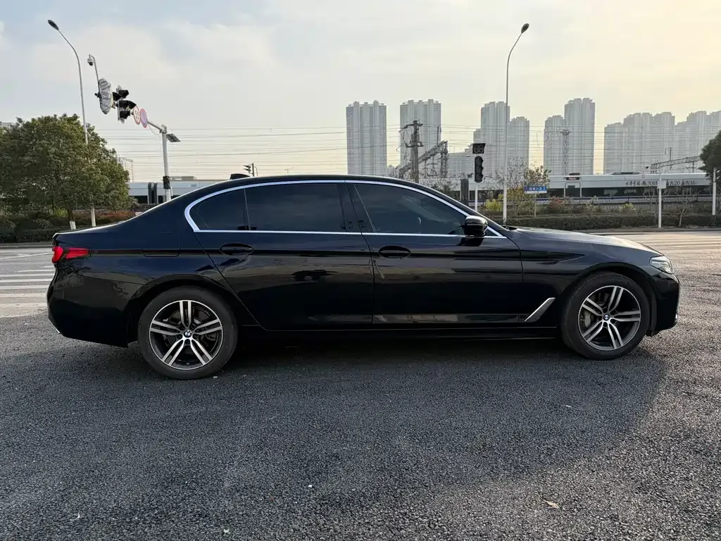 BMW 5 Series 2021 из CN, фото 9