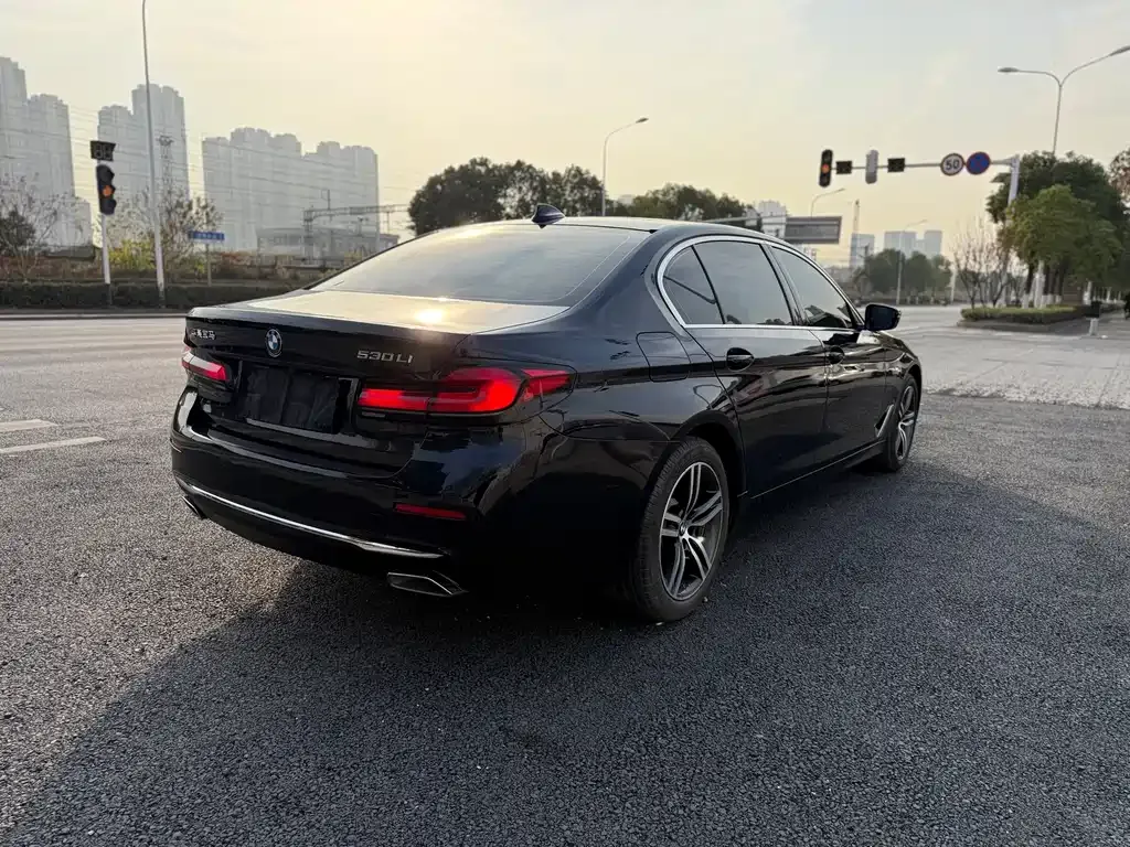 BMW 5 Series 2021 из CN, фото 3
