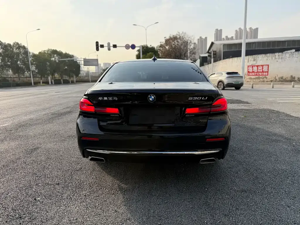 BMW 5 Series 2021 из CN, фото 6