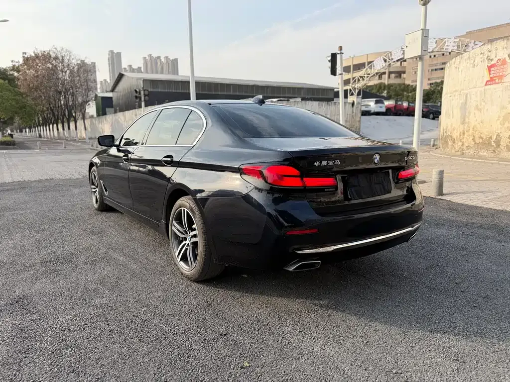 BMW 5 Series 2021 из CN, фото 8