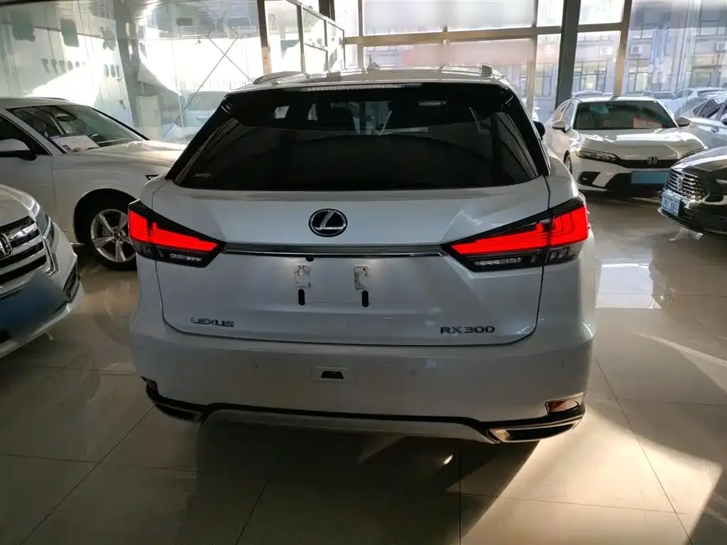 Lexus RX 2022 из CN, фото 7