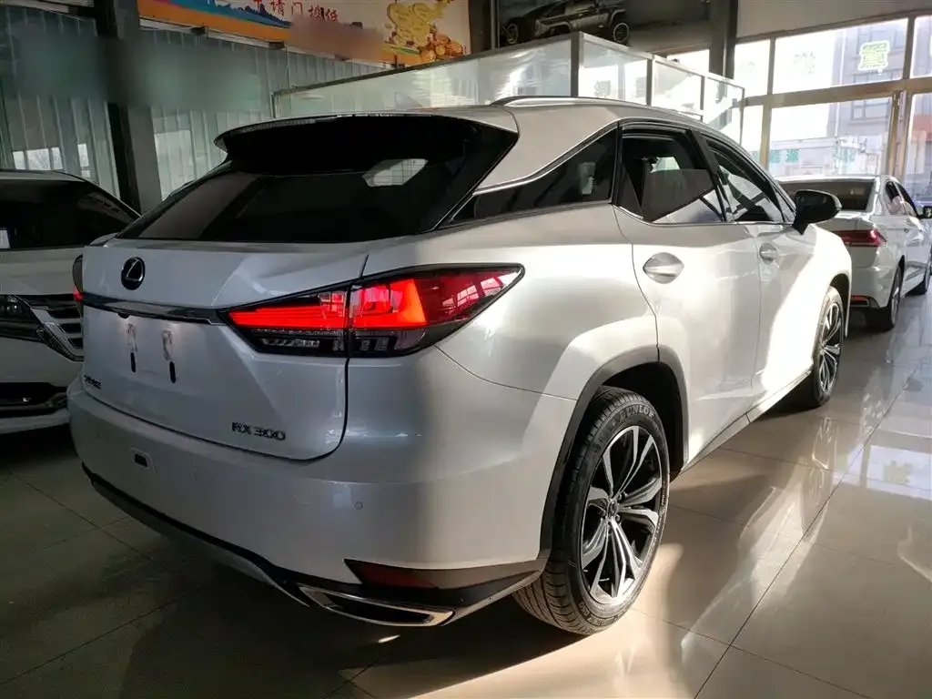 Lexus RX 2022 из CN, фото 9