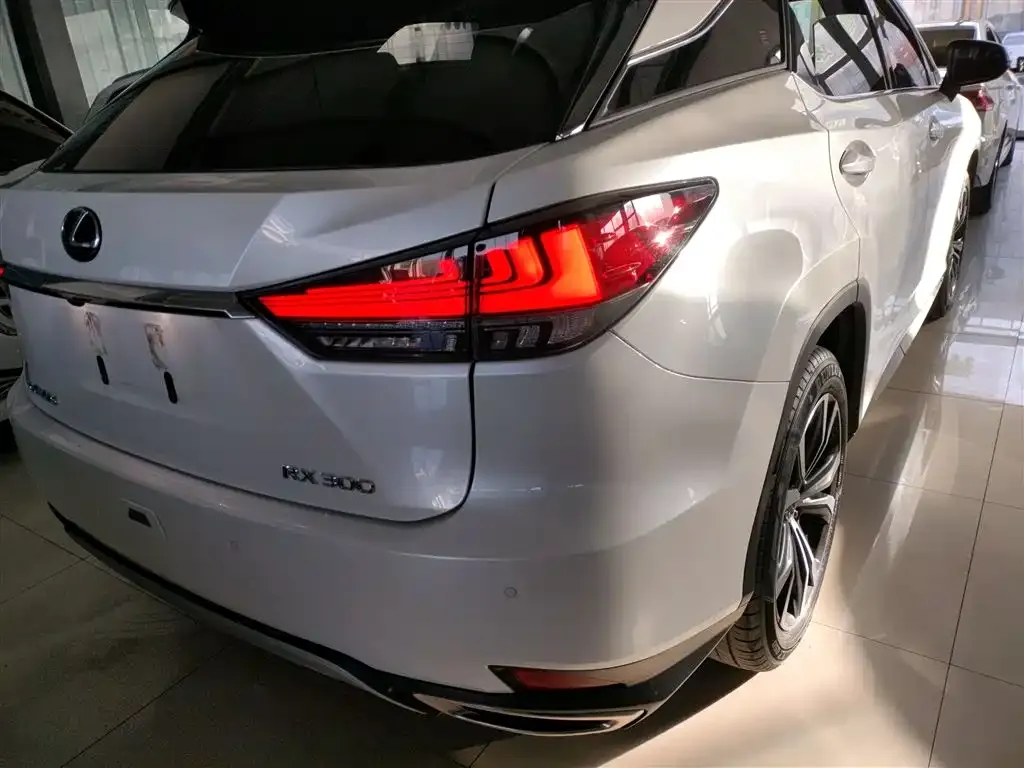 Lexus RX 2022 из CN, фото 6