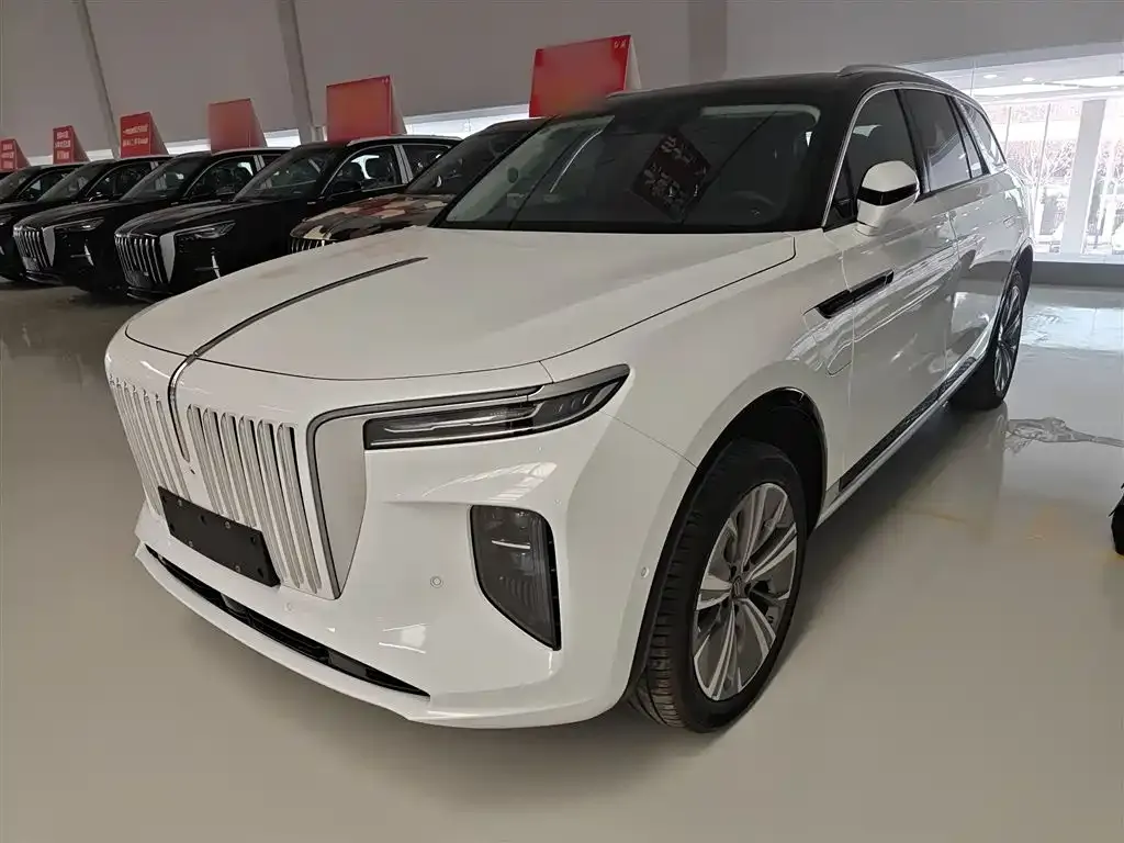 Hongqi E-HS9 2025 из CN, фото 7