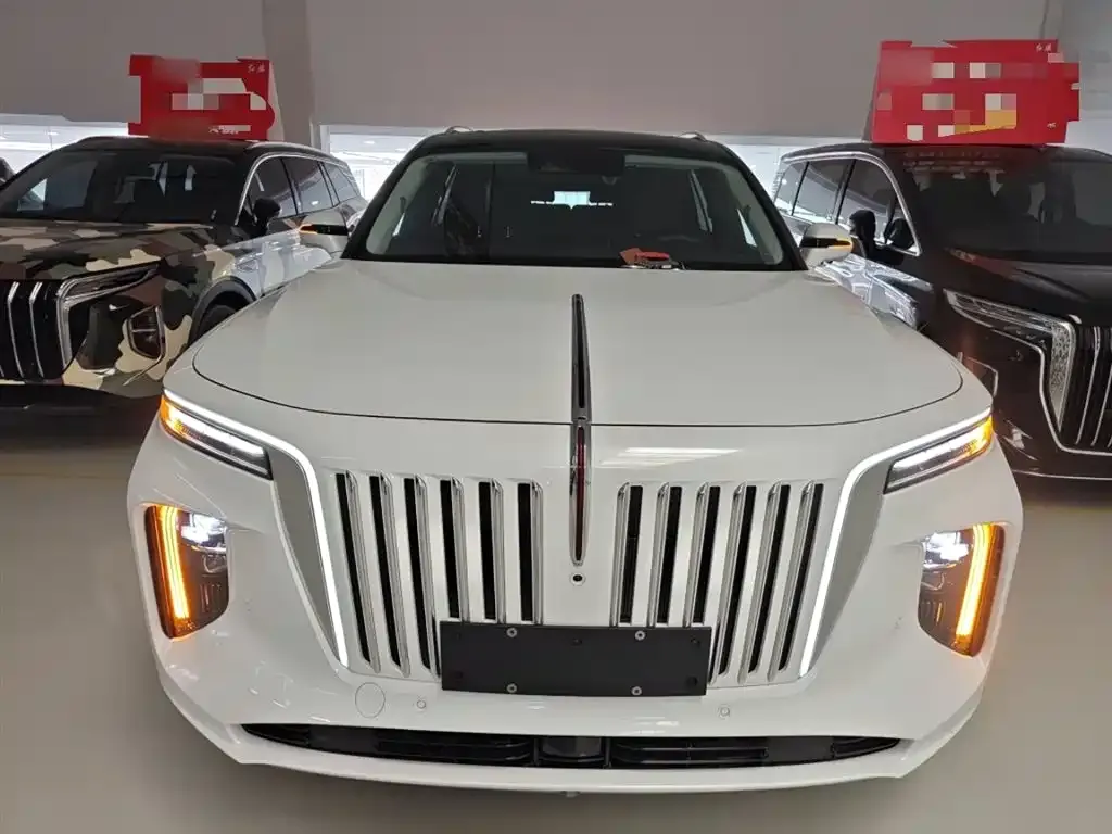 Hongqi E-HS9 2025 из CN, фото 8