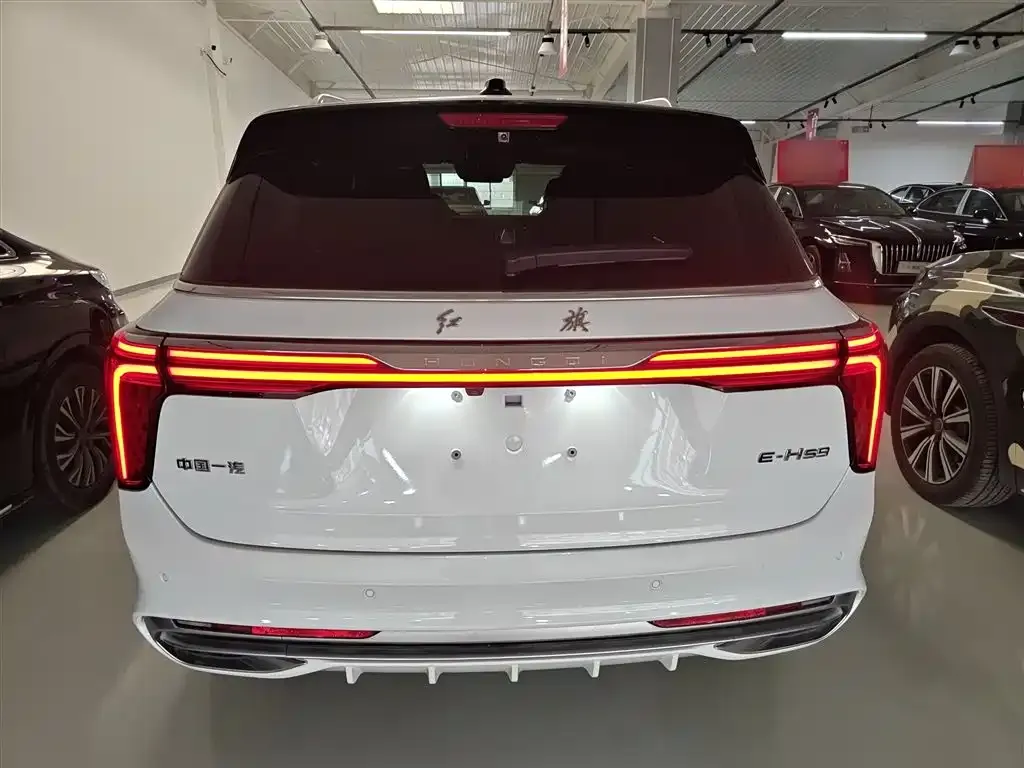 Hongqi E-HS9 2025 из CN, фото 6