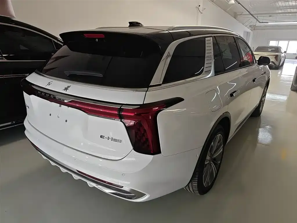 Hongqi E-HS9 2025 из CN, фото 10