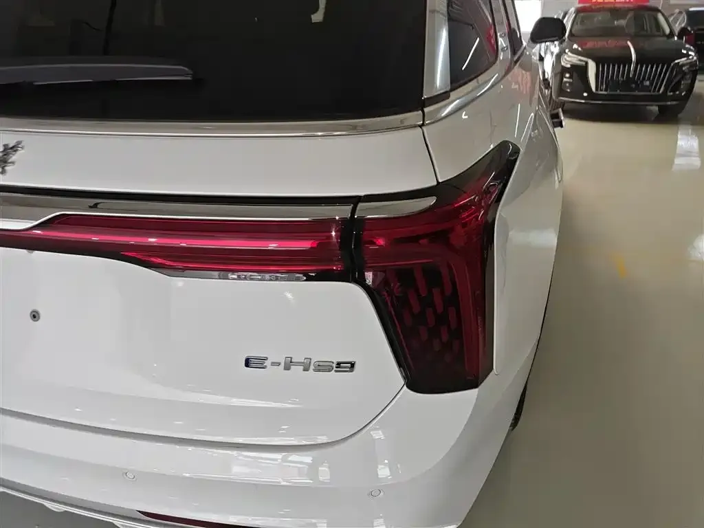Hongqi E-HS9 2025 из CN, фото 2