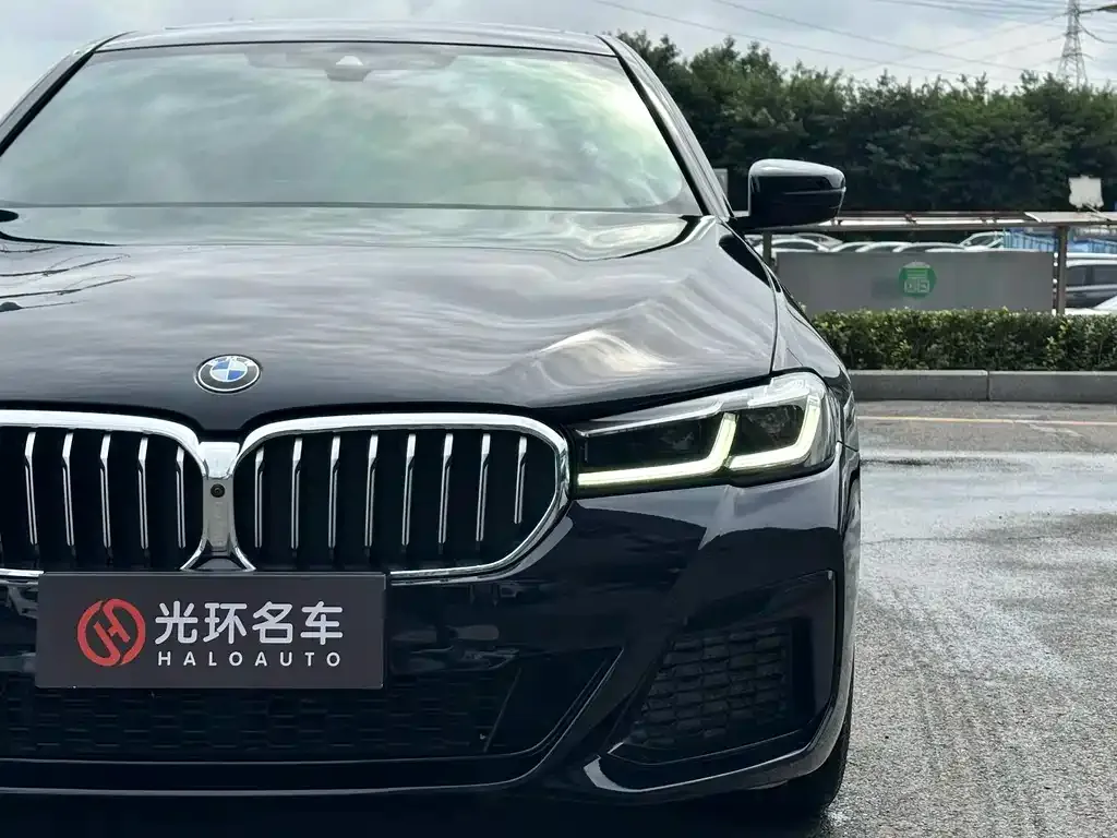 BMW 5 Series 2022 из CN, фото 10