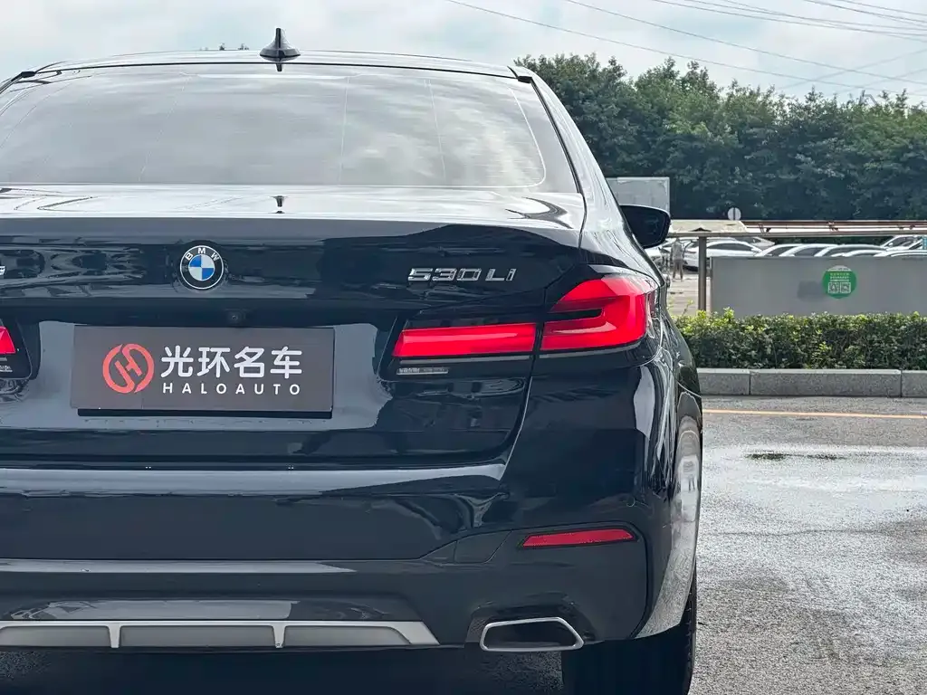 BMW 5 Series 2022 из CN, фото 2