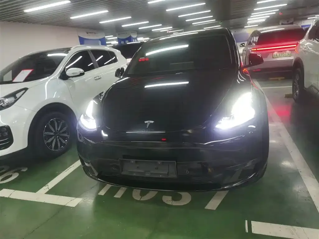 Tesla Model Y 2023 из CN, фото 2