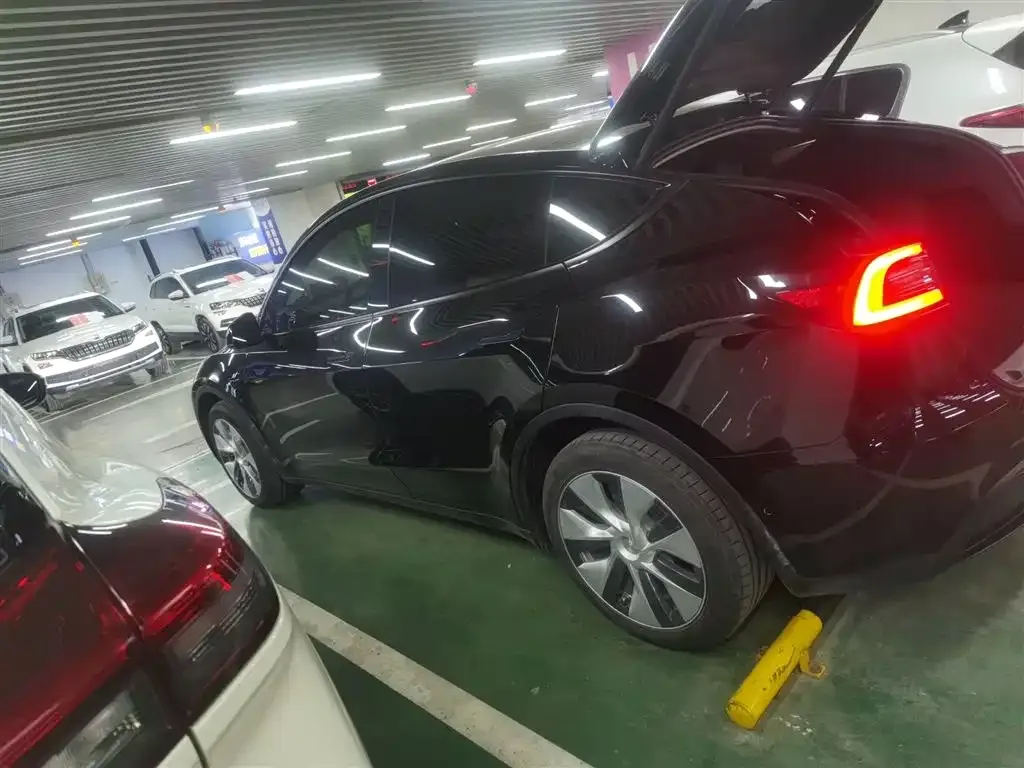 Tesla Model Y 2023 из CN, фото 5