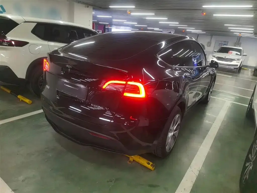 Tesla Model Y 2023 из CN, фото 6
